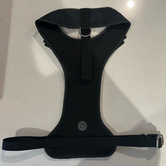 Dog Tux and Harness - Picture 2 of 3